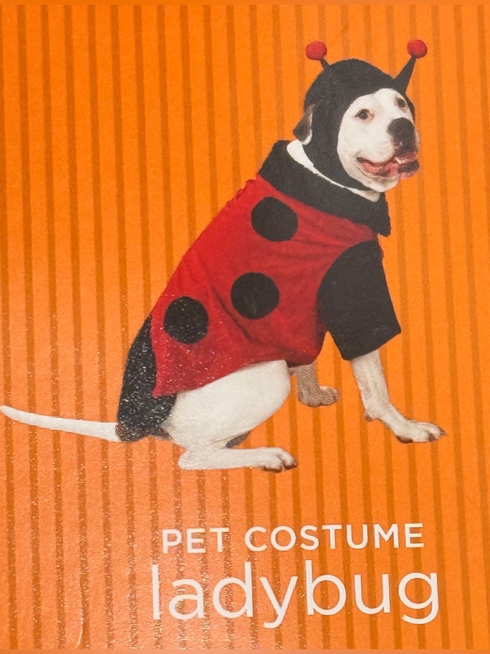 Ladybug Dog Costume - XXL (51-80 lbs & 25-28 inches)